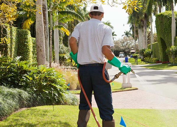 About Bentley MI Pest Control Pros